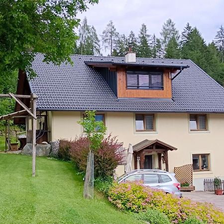 Appartement Haus Tonelehof à Dellach im Drautal Extérieur photo