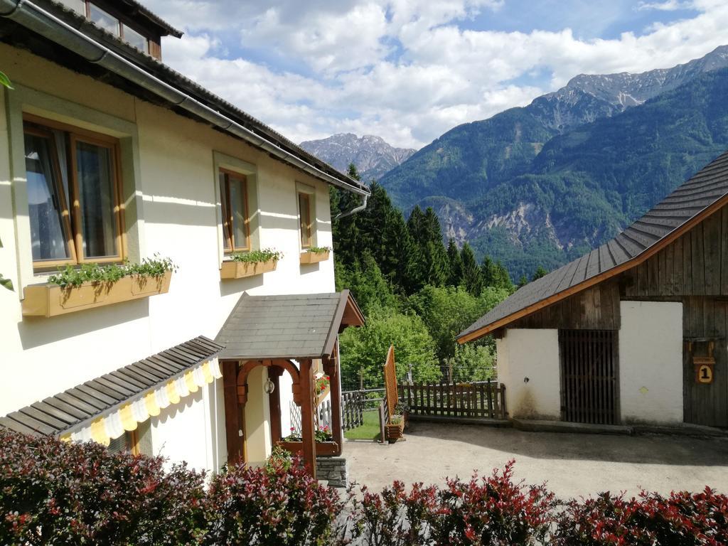 Appartement Haus Tonelehof à Dellach im Drautal Extérieur photo