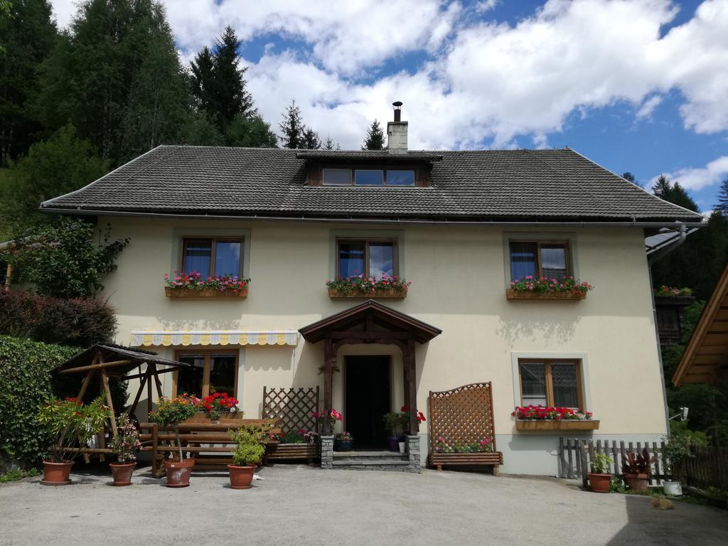 Appartement Haus Tonelehof à Dellach im Drautal Extérieur photo